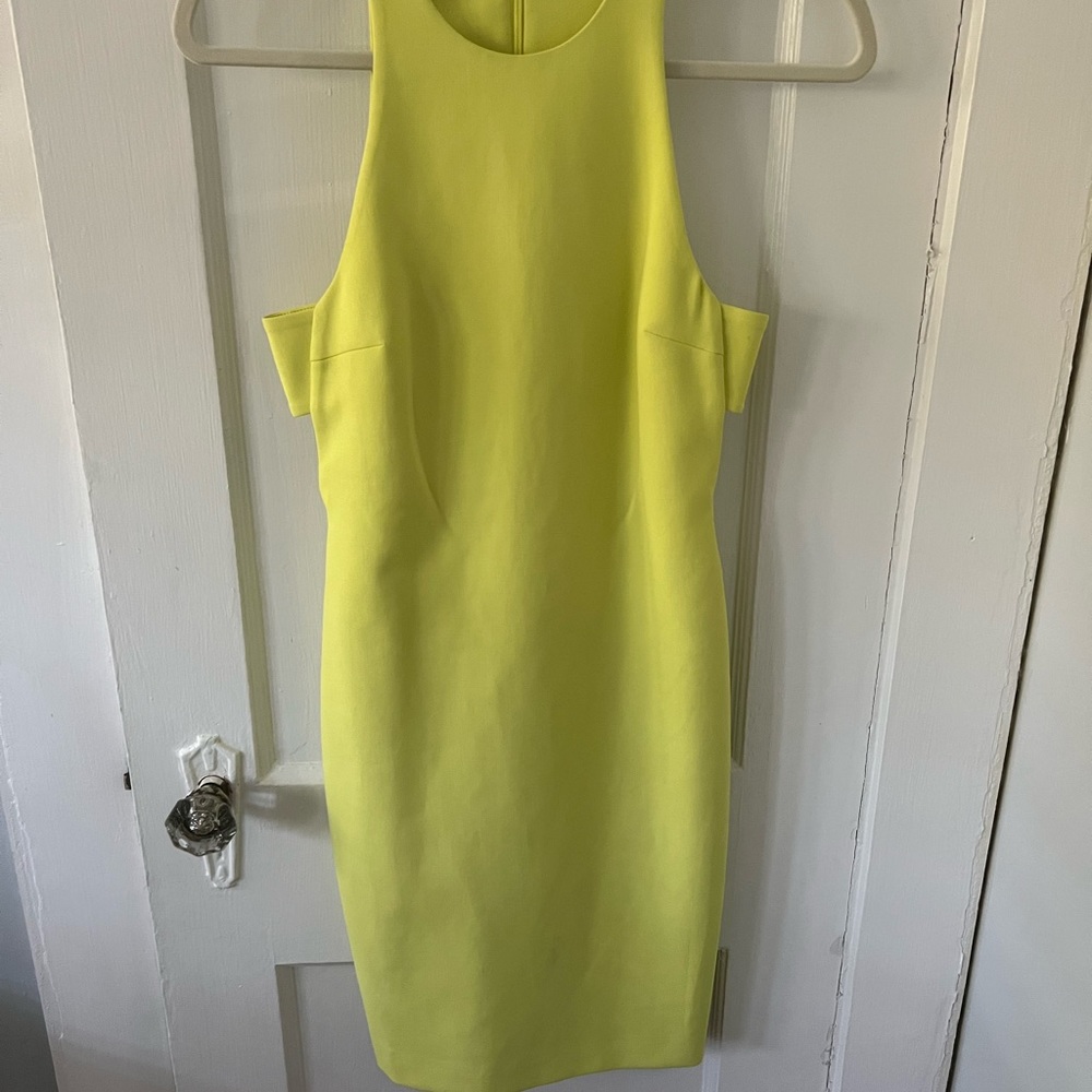 Elizabeth and James Mini Dress